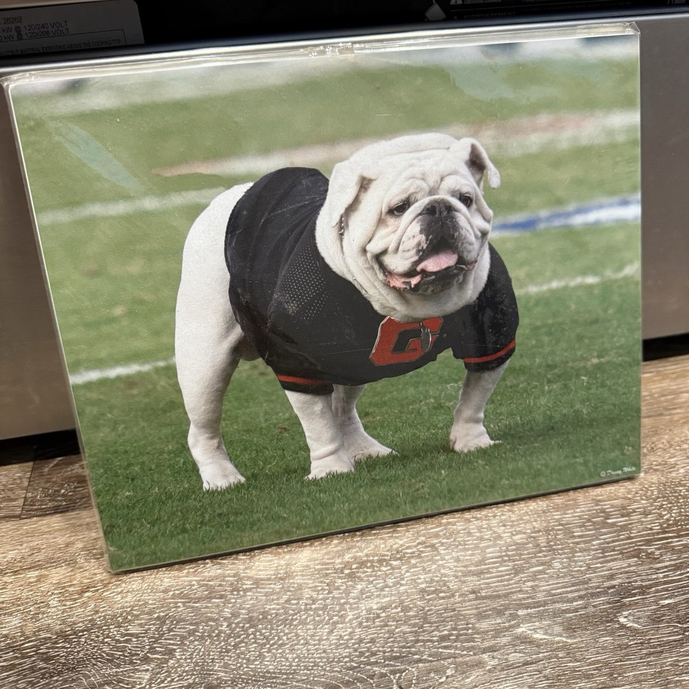 8x10 UGA VI ('99-'08)‎ Photo Wall Art Georgia Football UGA Blackout Game 2007 W
